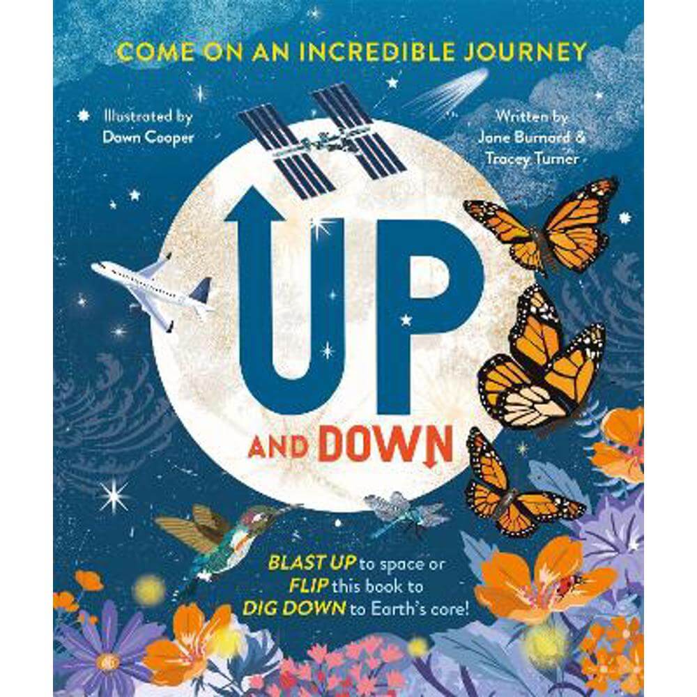 Up and Down (Hardback) - Tracey Turner